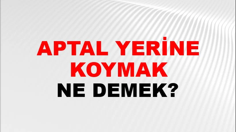 Aptal Yerine Koymak Aptal Yerine Koymak