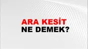 Ara Kesit