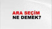 Ara Seçim