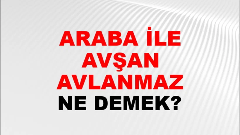 Araba İle Tavşan Avlanmaz Araba İle Tavşan Avlanmaz