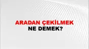 Aradan Çekilmek