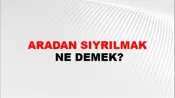 Aradan Sıyrılmak