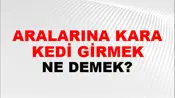 Aralarına Kara Kedi Girmek
