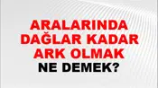 Aralarında Dağlar Kadar Fark Olmak