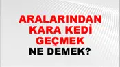 Aralarından Kara Kedi Geçmek