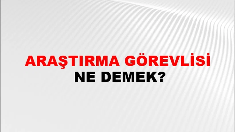 Araştırma Görevlisi Araştırma Görevlisi