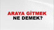 Araya Gitmek