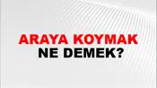 Araya Koymak