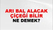 Arı Bal Alacak Çiçeği Bilir
