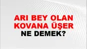 Arı Bey Olan Kovana Üşer