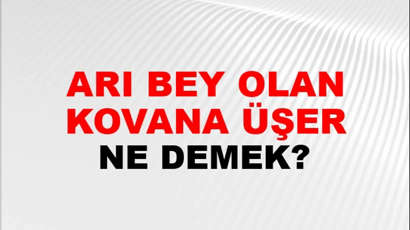 Arı Bey Olan Kovana Üşer Arı Bey Olan Kovana Üşer