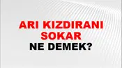 Arı Kızdıranı Sokar