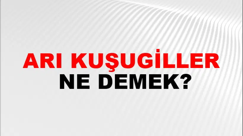 Arı Kuşugiller Arı Kuşugiller