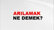 Arılamak