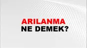 Arılanma