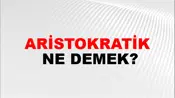 Aristokratik