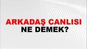 Arkadaş Canlısı