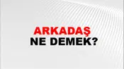 Arkadaş