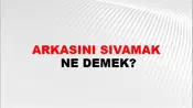 Arkasını Sıvamak