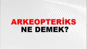 Arkeopteriks