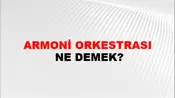 Armoni Orkestrası