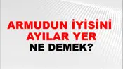 Armudun İyisini (Dağda) ayılar yer