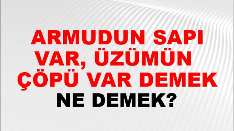 Armudun Sapı Var, Üzümün (Veya kirazın) çöpü var demek Armudun Sapı Var, Üzümün (Veya kirazın) çöpü var demek