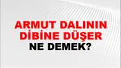 Armut Dalının Dibine Düşer