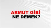 Armut Gibi