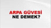 Arpa Güvesi
