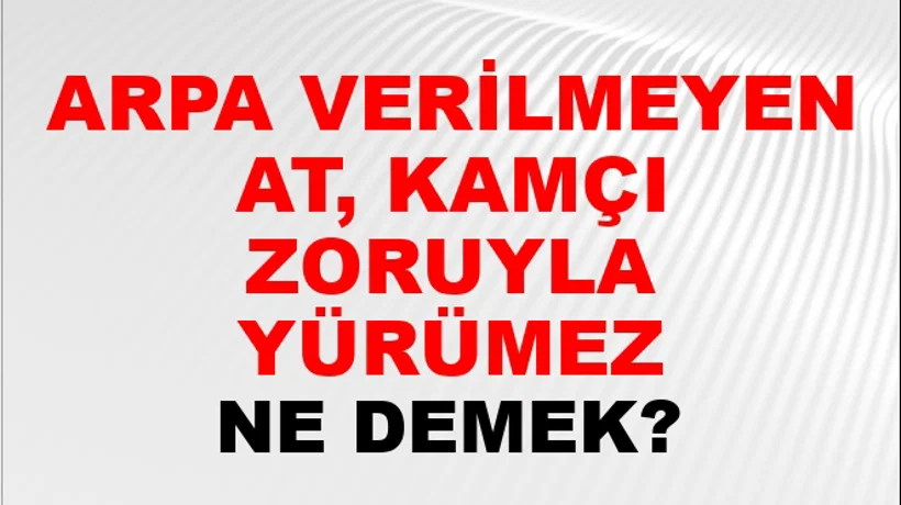 Arpa Verilmeyen At, Kamçı Zoruyla Yürümez Arpa Verilmeyen At, Kamçı Zoruyla Yürümez
