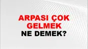 Arpası Çok Gelmek