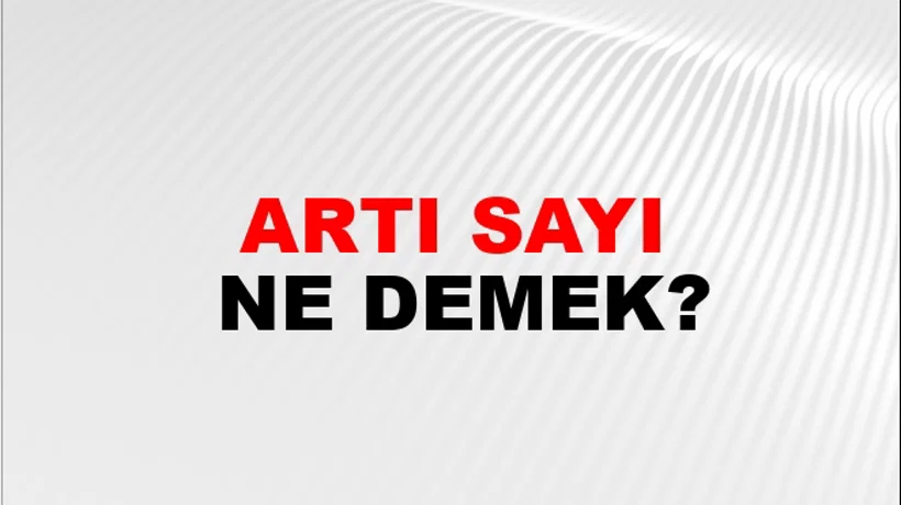 Artı Sayı Artı Sayı