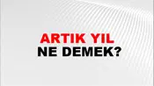 Artık Yıl