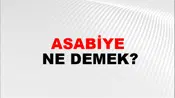Asabiye