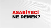 Asabiyeci