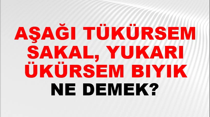 Aşağı Tükürsem Sakal, Yukarı Tükürsem Bıyık Aşağı Tükürsem Sakal, Yukarı Tükürsem Bıyık