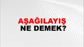 Aşağılayış