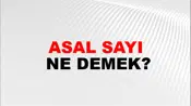 Asal Sayı