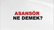 Asansör