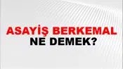 Asayiş Berkemal