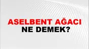 Aselbent Ağacı