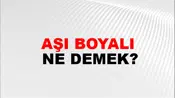 Aşı Boyalı