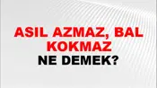 Asıl Azmaz, Bal Kokmaz