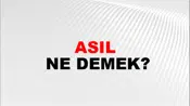 Asıl