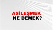 Asileşmek