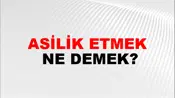 Asilik Etmek