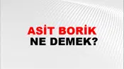 Asit Borik