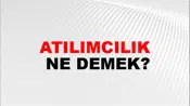 Atılımcılık