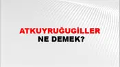 Atkuyruğugiller